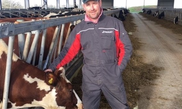 a person in a red jacket standing next to a cow